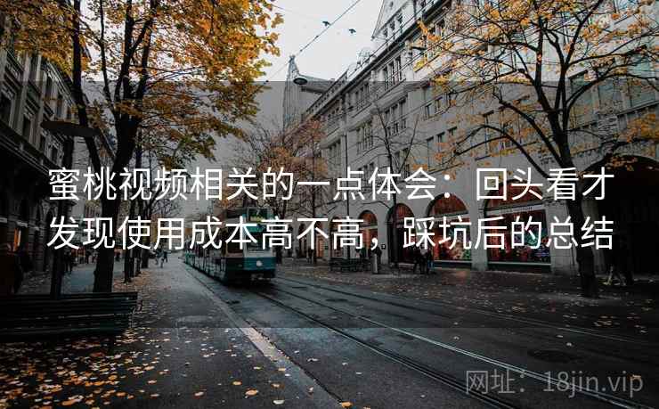 蜜桃视频相关的一点体会：回头看才发现使用成本高不高，踩坑后的总结