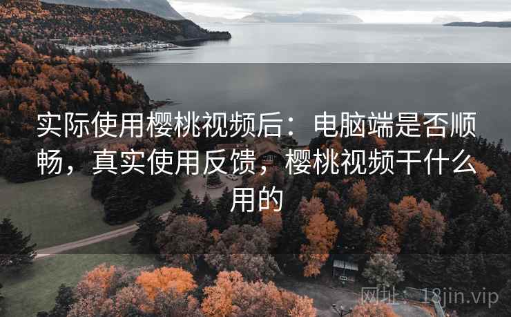 实际使用樱桃视频后：电脑端是否顺畅，真实使用反馈，樱桃视频干什么用的