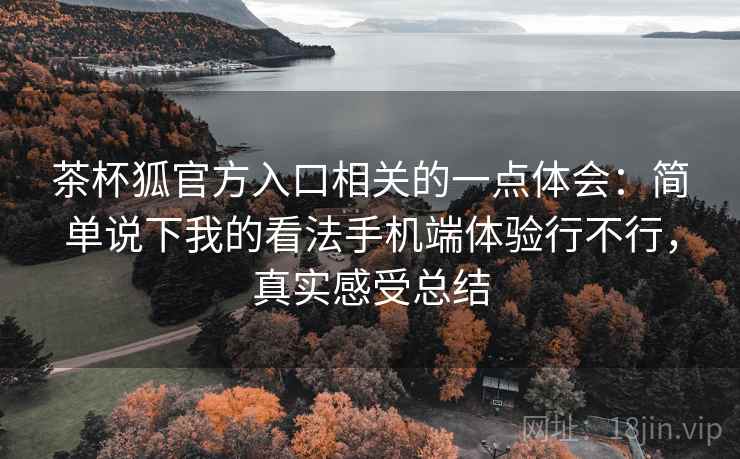茶杯狐官方入口相关的一点体会：简单说下我的看法手机端体验行不行，真实感受总结