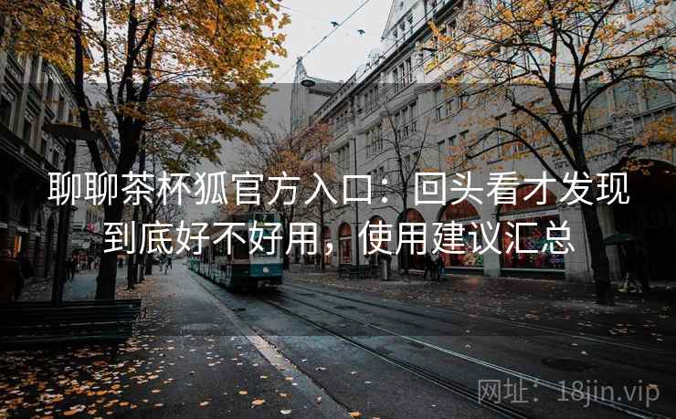 聊聊茶杯狐官方入口：回头看才发现到底好不好用，使用建议汇总