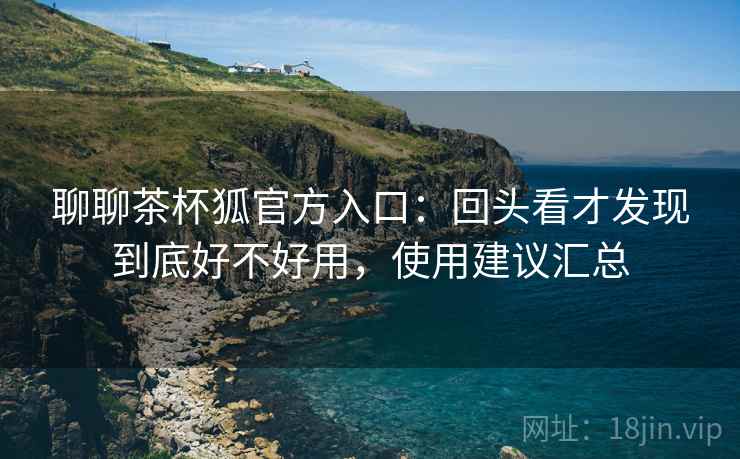 聊聊茶杯狐官方入口：回头看才发现到底好不好用，使用建议汇总